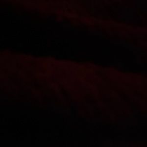 Meet your Posher, Haylee